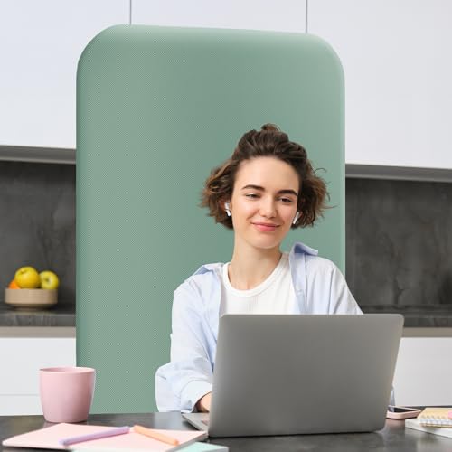 DECOLAB Standing Room Divider Panel, 29 x 65 Inches