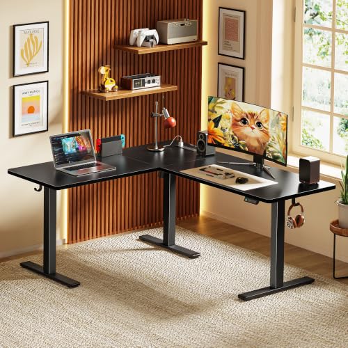 Huuger Electric Standing Desk ACD13132