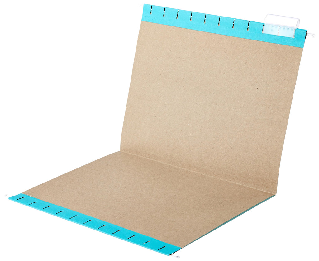 Hanging File Folders for Office Storage & Organization