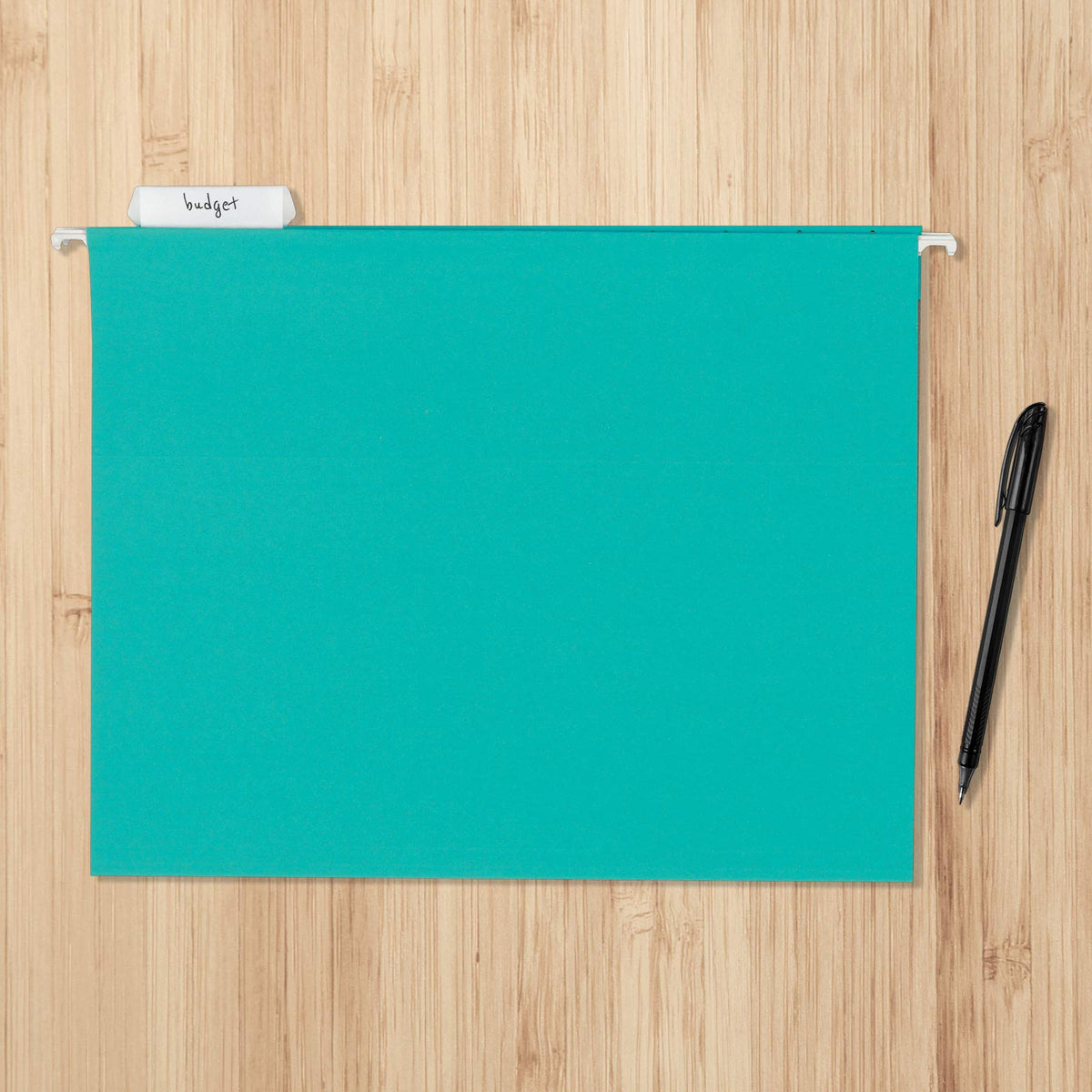 Hanging File Folders for Office Storage & Organization