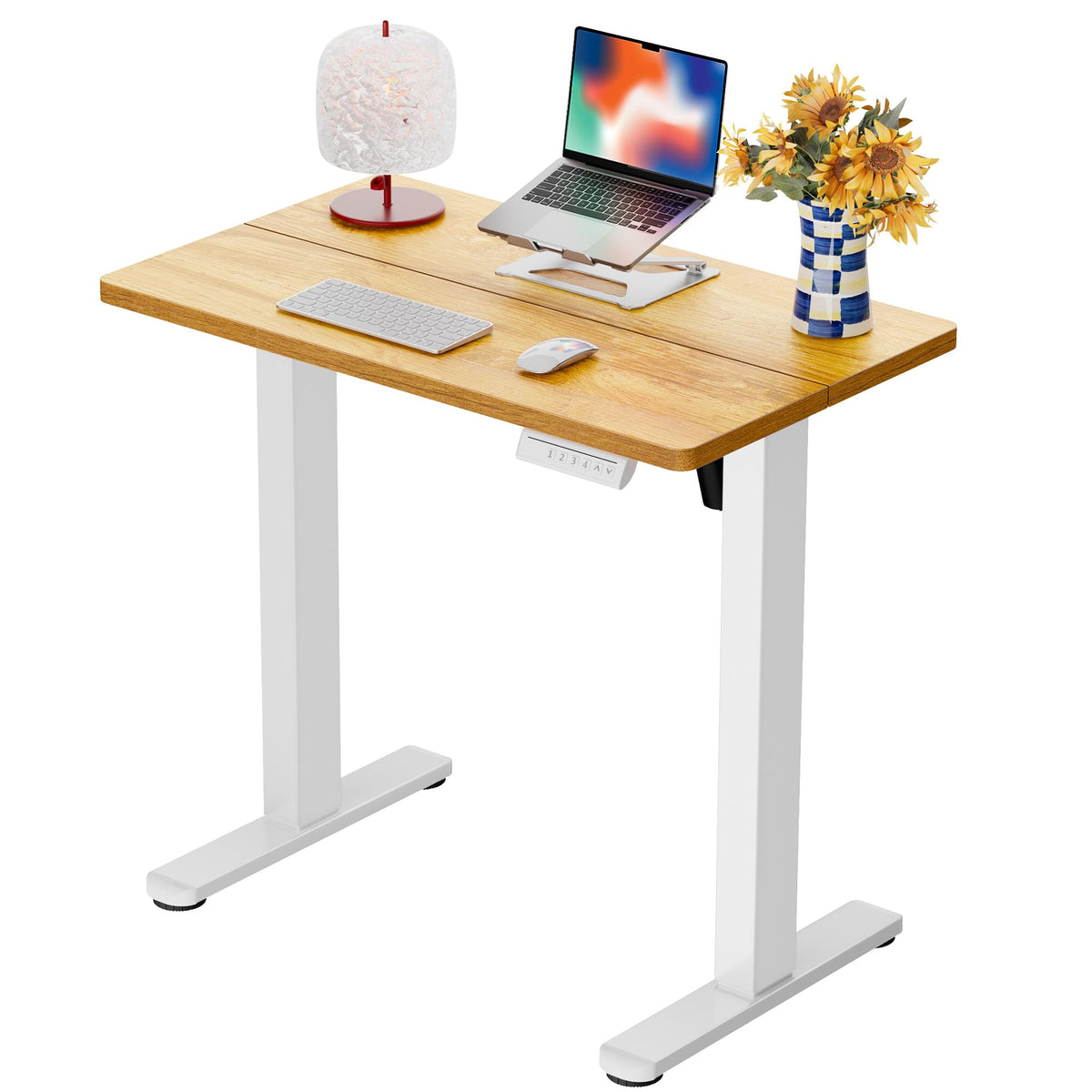ErGear Height Adjustable Electric Standing Desk, Sit Stand up Desk, Memory Computer Home Office Desk