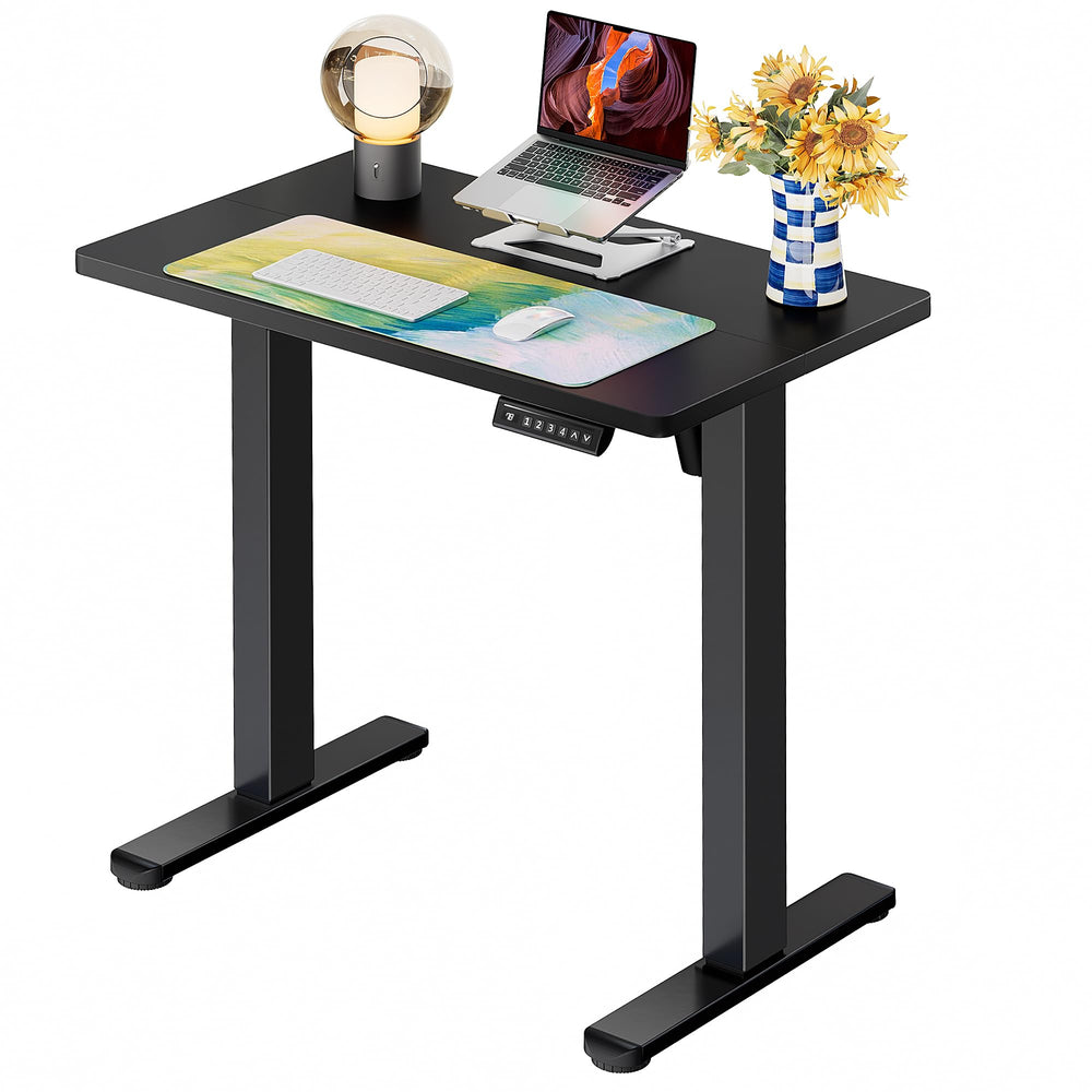 ErGear Height-Adjustable Electric Standing Desk with Memory