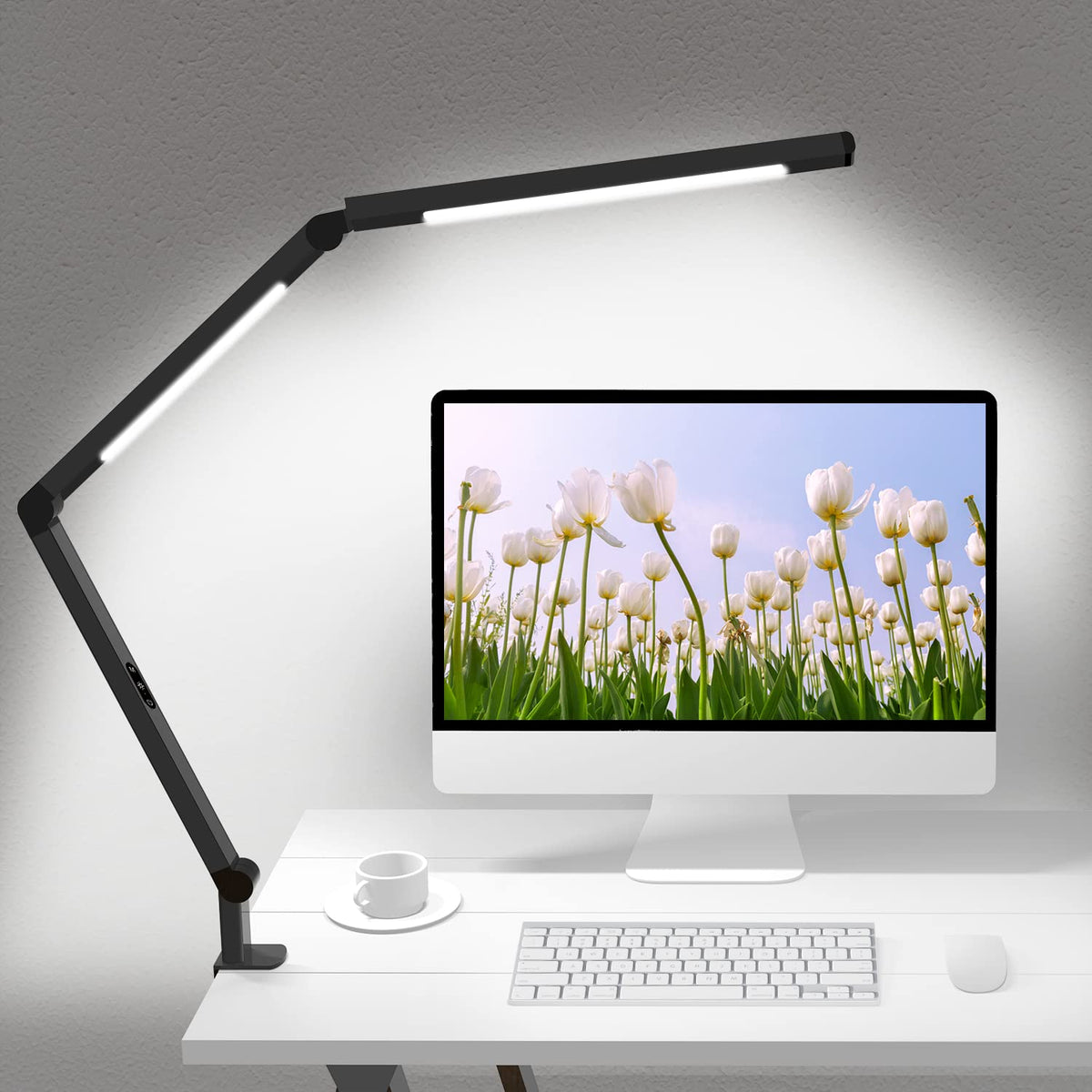 Micomlan LED Desk Lamp for Home Office Workspace