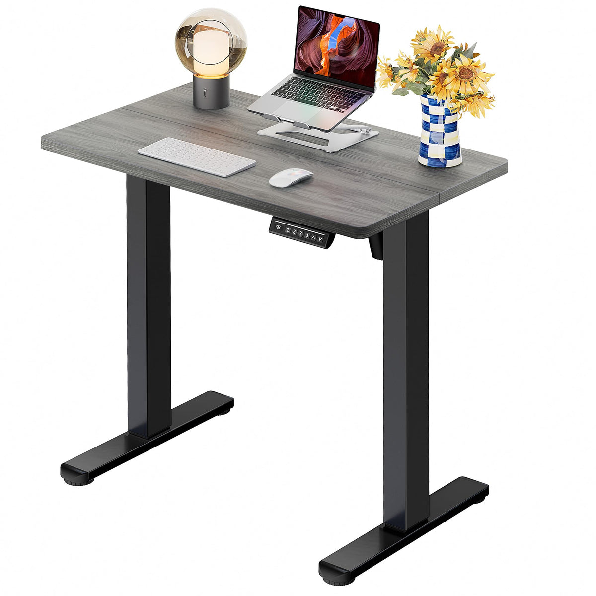 ErGear Height Adjustable Electric Standing Desk, Sit Stand up Desk, Memory Computer Home Office Desk