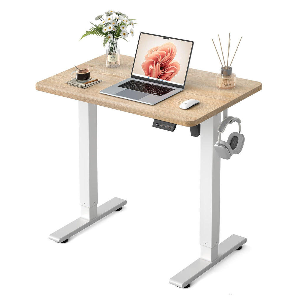 FEZIBO Standing Desk Electric Height Adjustable